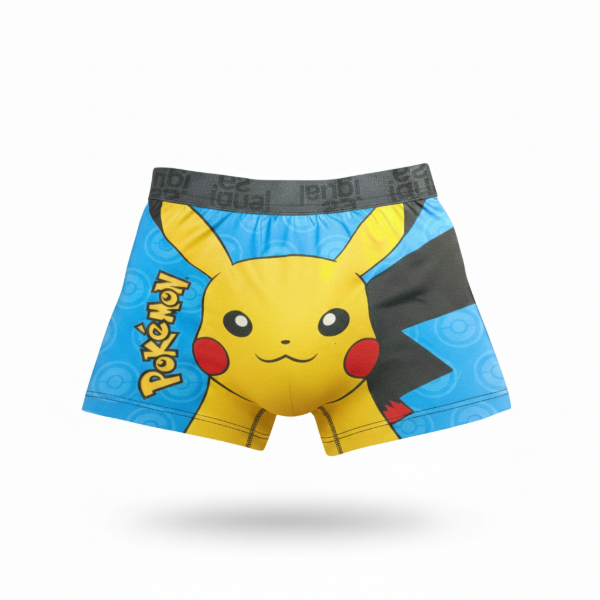 BOXER POCKEMON 2