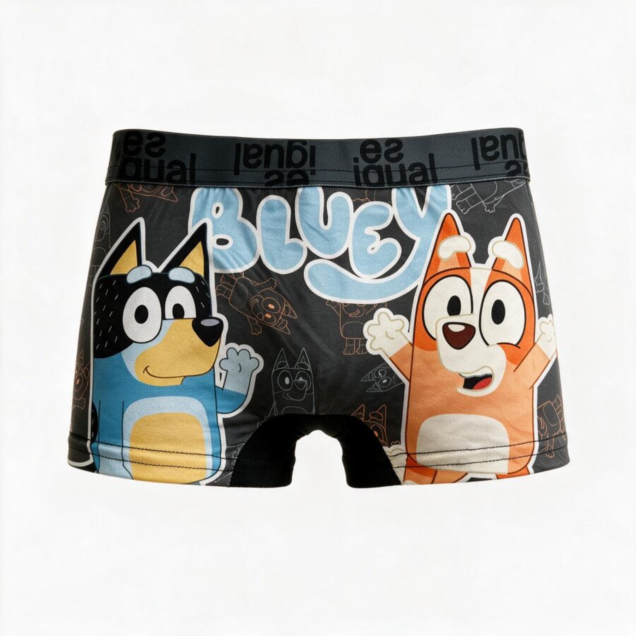 BOXER BLUEY